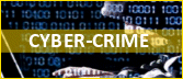 cyber liability insurance logo